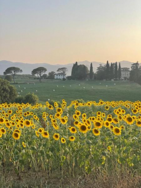 Casa le Rondini Toscana Bucine
